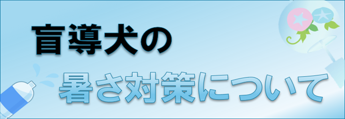 盲導犬の暑さ対策について