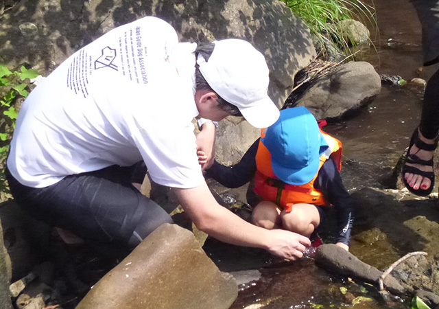 A child explores the river hand in hand with a staff member. He seems to have found something.