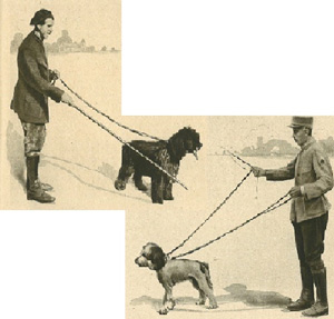 盲導犬の歴史｜日本盲導犬協会