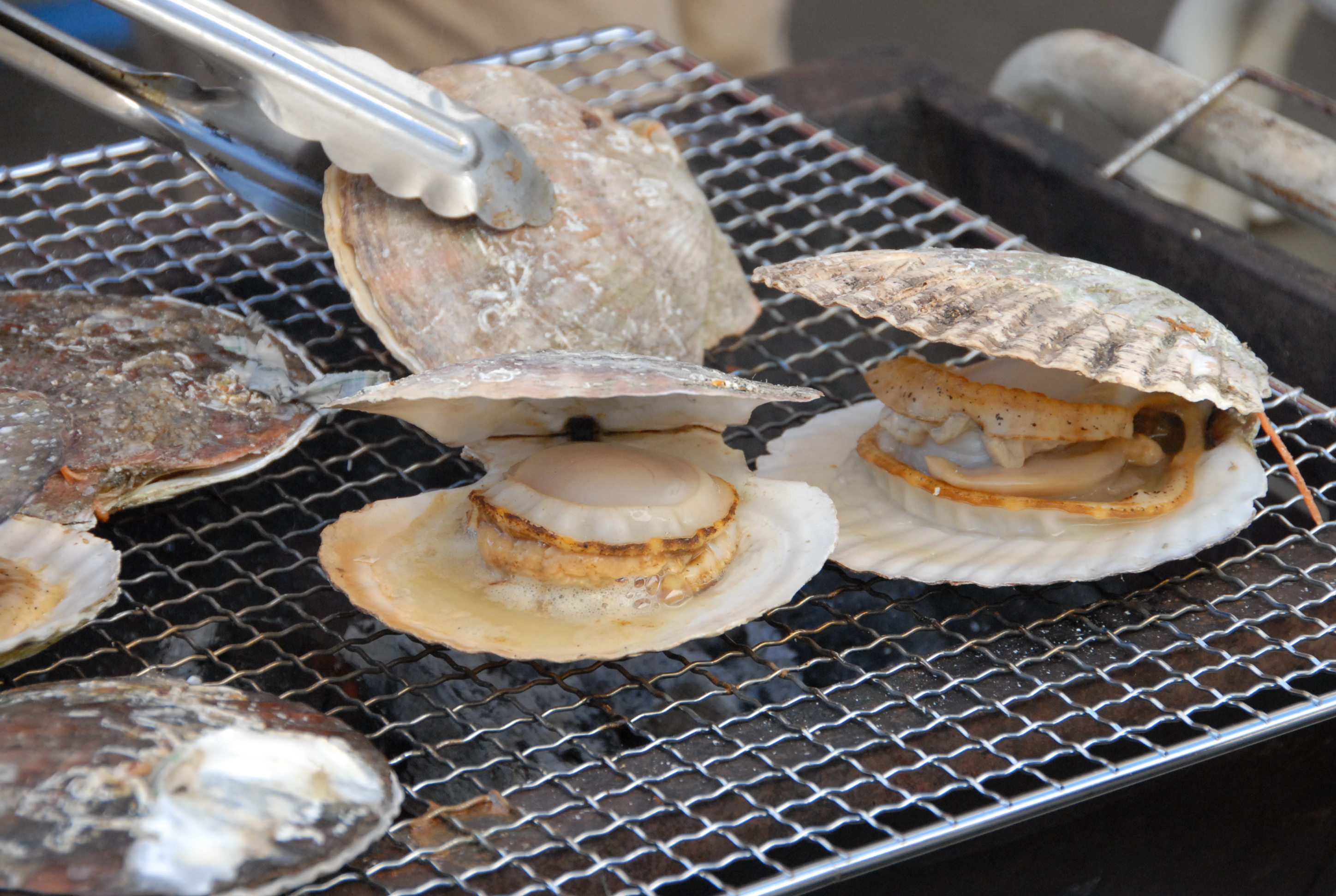 ▼ホタテ焼きは今年も出店予定です