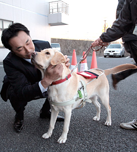東京ヤクルトスワローズ　宮本慎也選手実使用　2008年ヤクルトアトムズ復刻ユニフォーム＃6