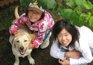 盲導犬の一生| 日本盲導犬協会