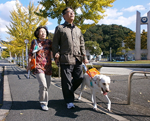 コレクション 全国のハーネスの会 盲導犬