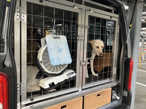Yellow and Black Labradors are in the parked training van and a portable fan and ice pack is hanging on the door, blowing cool air into the van.
