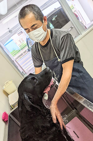 User and guide dog shampooing at Hiroshima Office.