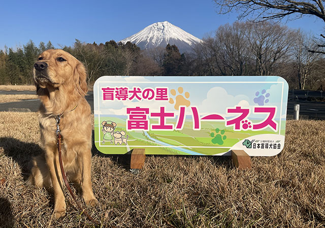 A Golden Retriever is sitting next to the welcome board of Fuji Harness and Mt. Fuji in the back.