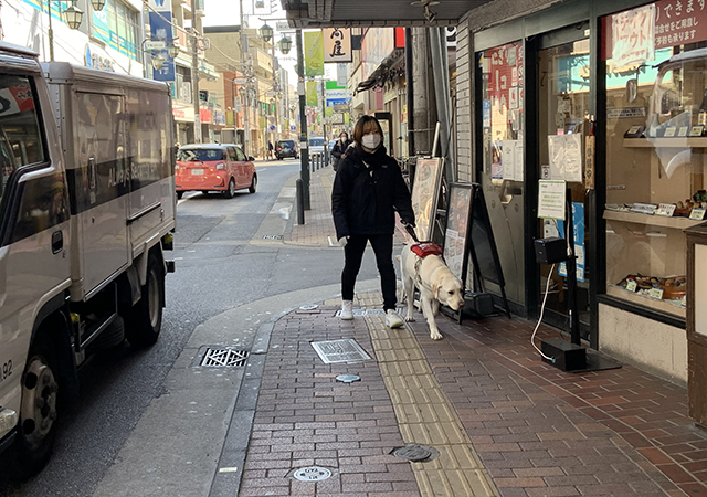 A student is training a yellow labrador on a narrow sidewalk. The dog has just avoided a restaurant's signboard and is trying to head back to the left side of the path.