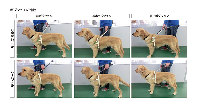 盲導犬 ハーネス 動き