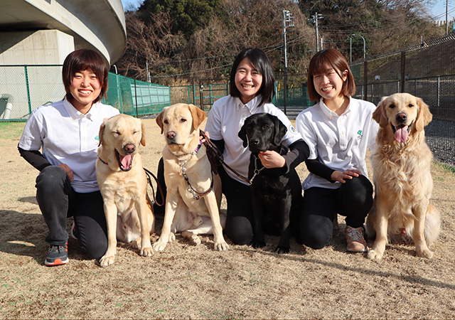 Trainees with one black, two yellow labradors and a golden retreiver at the Kanagawa Training Center.
