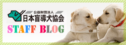 日本盲導犬協会スタッフブログ