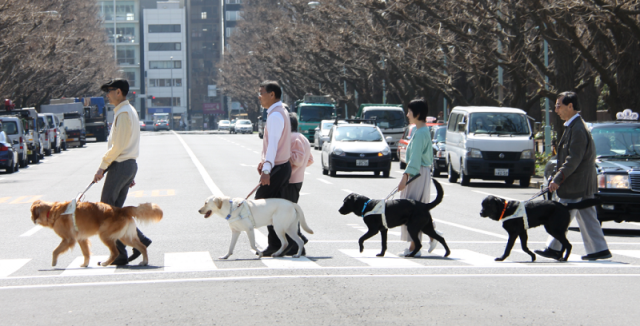 並んで歩くユーザー5人と盲導犬4頭
