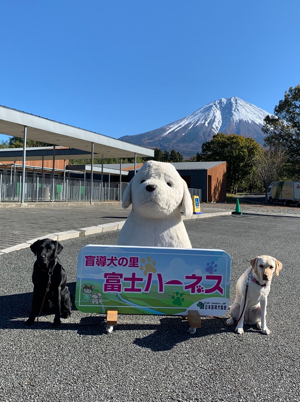 PR犬と富士山