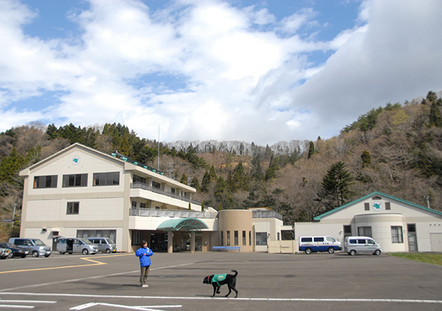 The exterior of the Sendai Training Centre. A black Labrador wearing a green jacket is walking towards a staff.