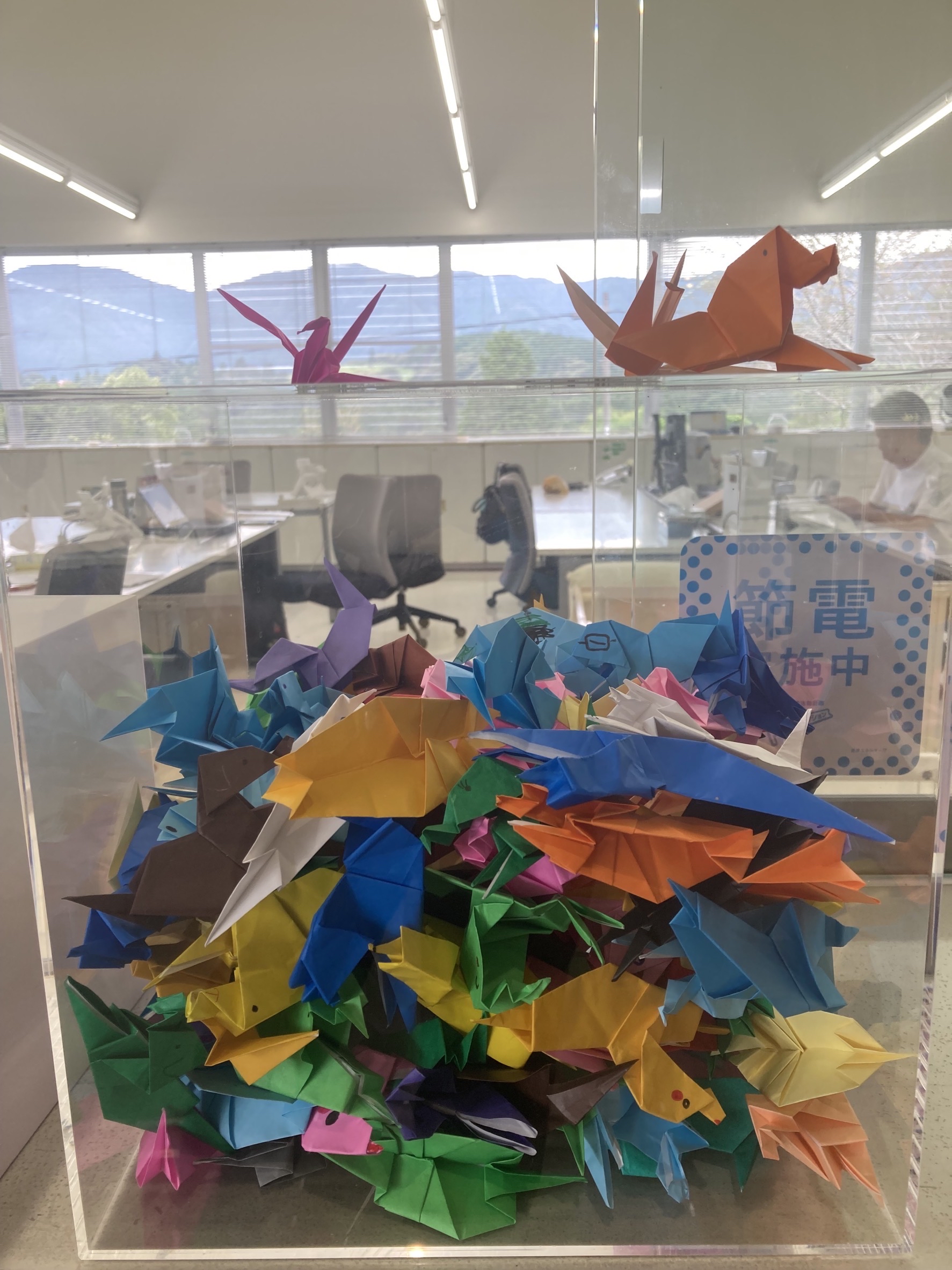 The collected guide dog origami figures
