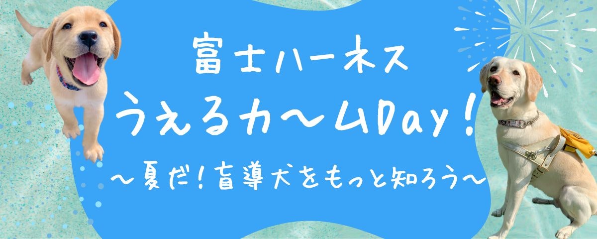 富士ハーネスうぇるカ～ムDay！～夏だ！盲導犬をもっと知ろう～