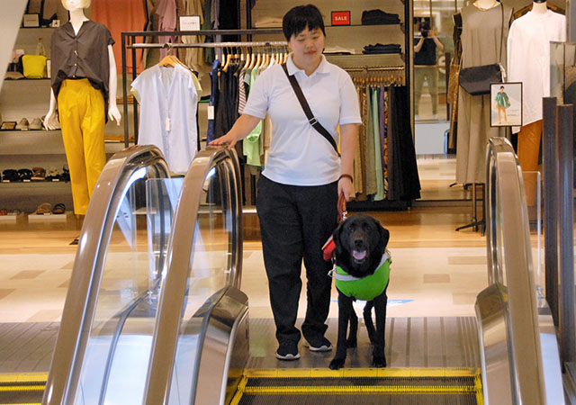 盲導犬ユーザーが買い物中