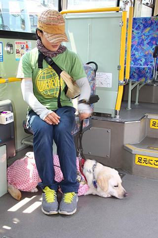 バスに乗車したユーザーと盲導犬