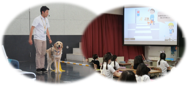 全国一斉盲導犬教室　画像
