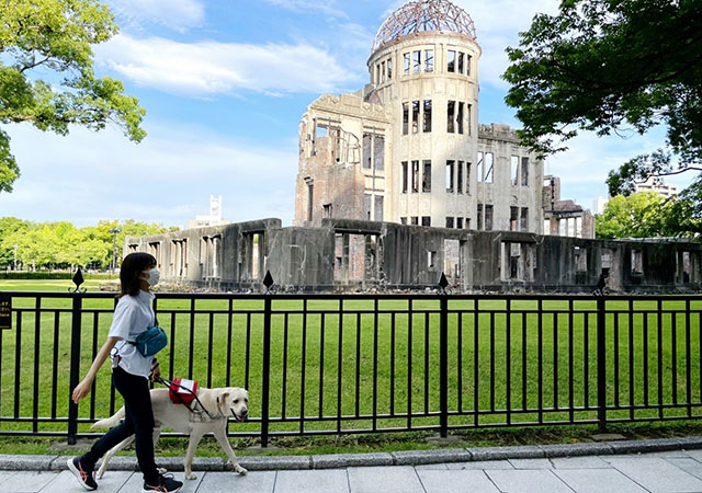 Guide dog training in front of the Hiroshima Peace Memorial.