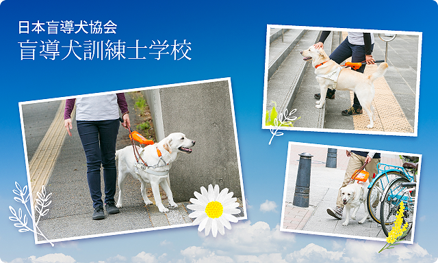 【中古】 盲導犬の科学 選抜，育成および訓練/信山社サイテック/クランス・Ｊ．ファッフェンバーガー 楽天市場】【中古】盲導犬の科学—選抜、育成および訓練 / ファッ