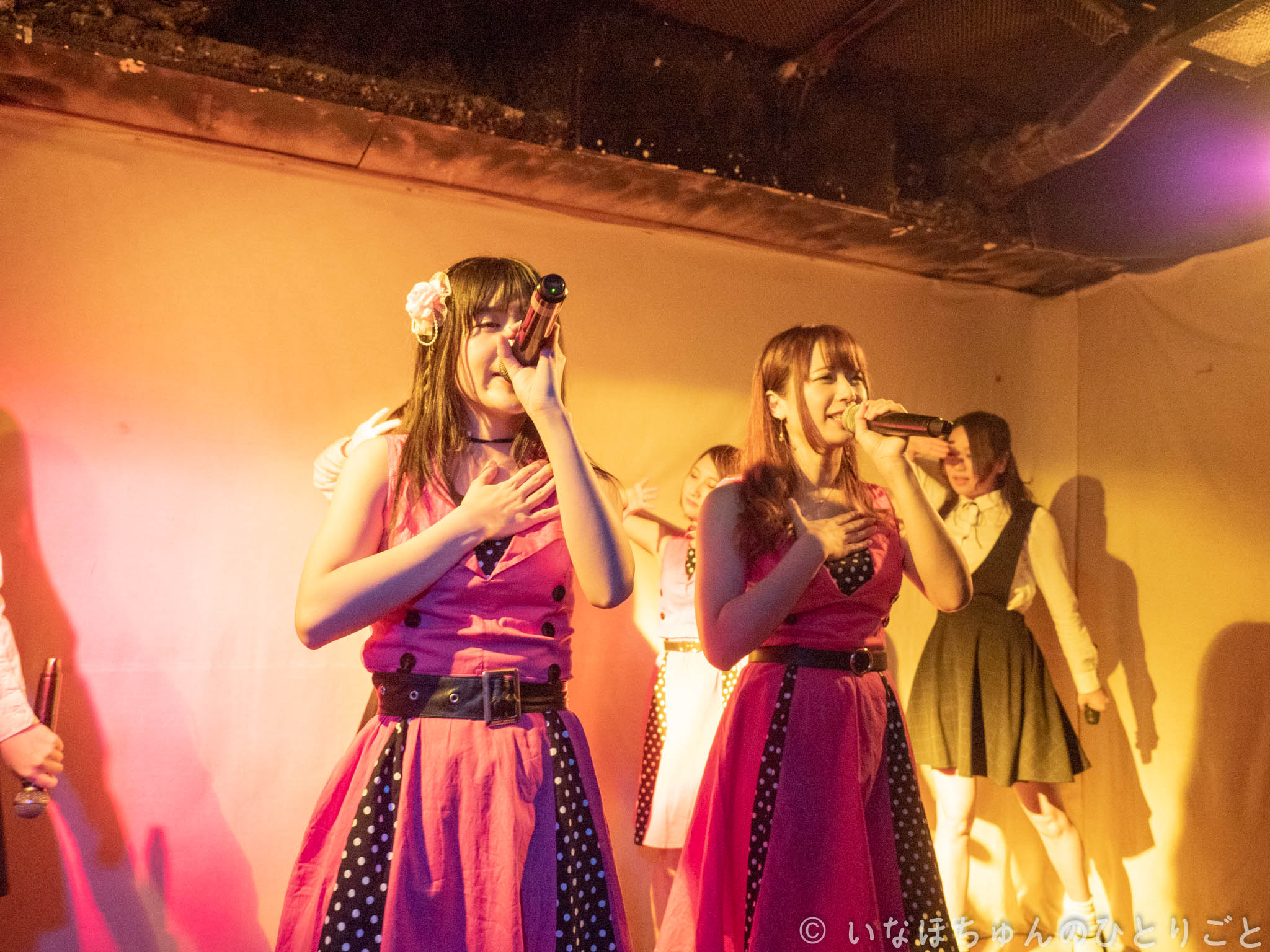 2019.02.12 hitomebore 定期公演 〜バレンタインスペシャル〜＠KPL hitomebore 19枚目