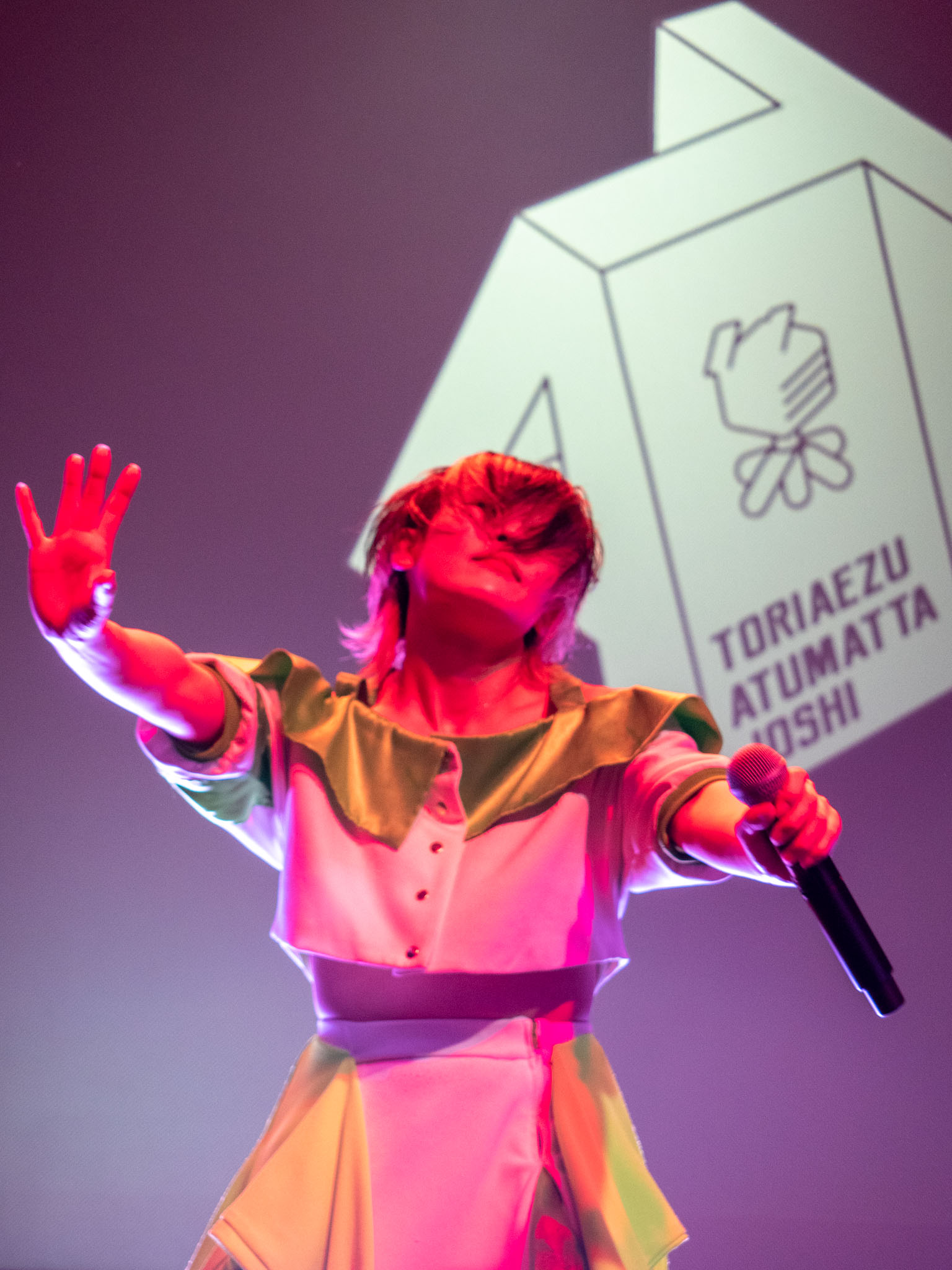 2022.06.19 IDOL LIVE JAPAN supported by LiVE GiRLS JPN＠Studio Mixa TA女子 27枚目