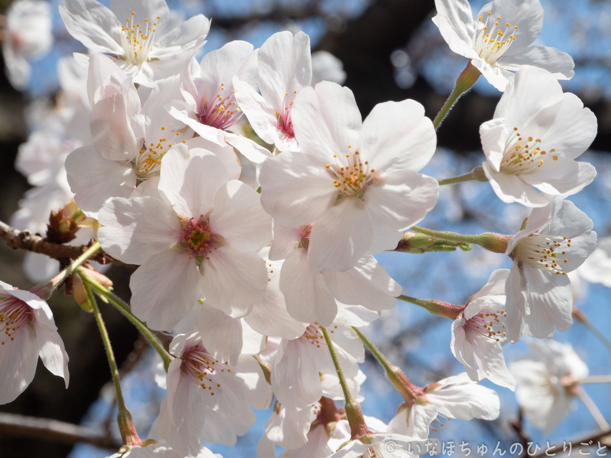 ちょっとお散歩に行ってきた