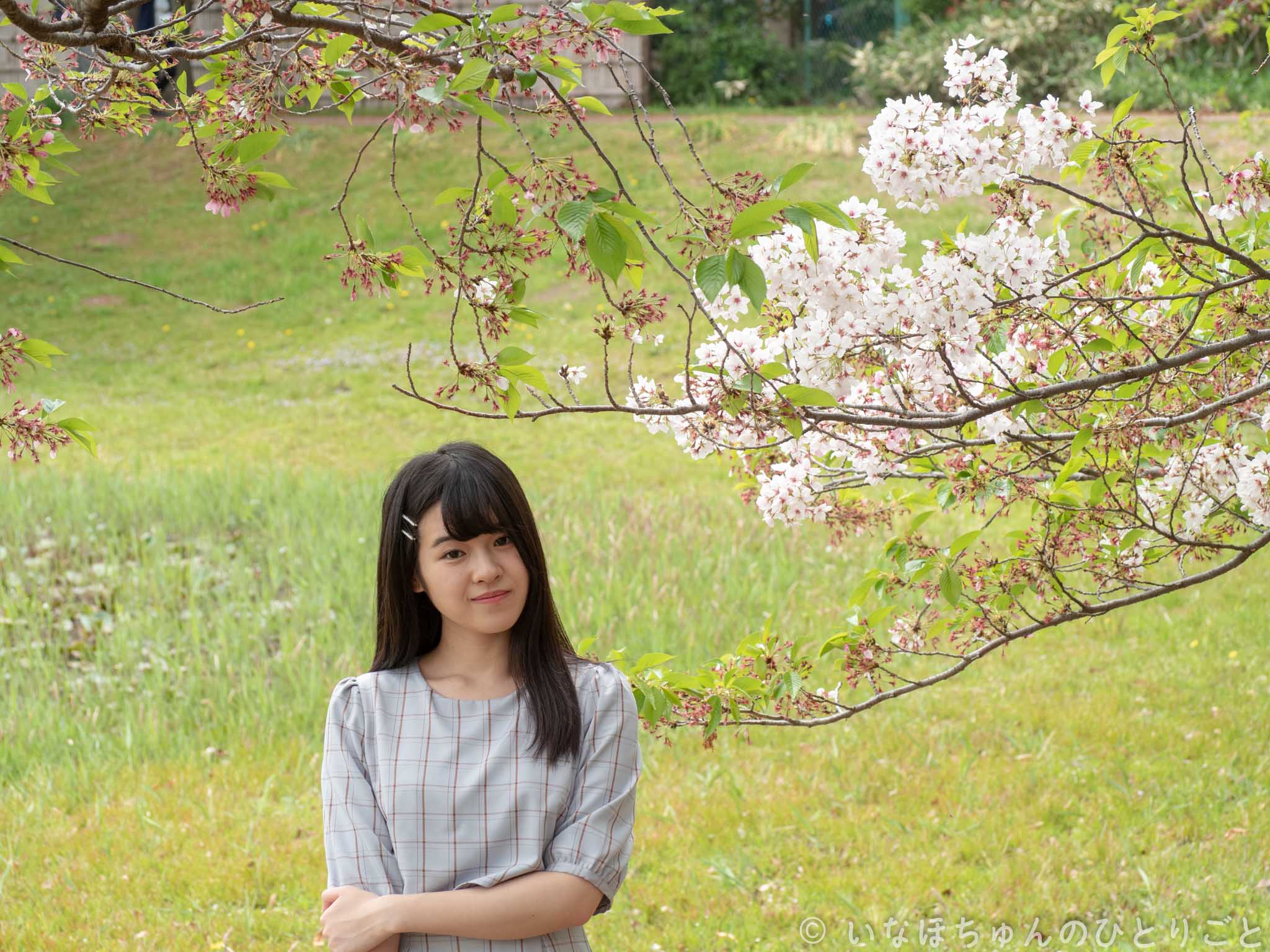 2019.04.21 東京写真連盟 春の大宮第二公園 モデル撮影会＠大宮第二公園 月乃ゆき　午前 40枚目