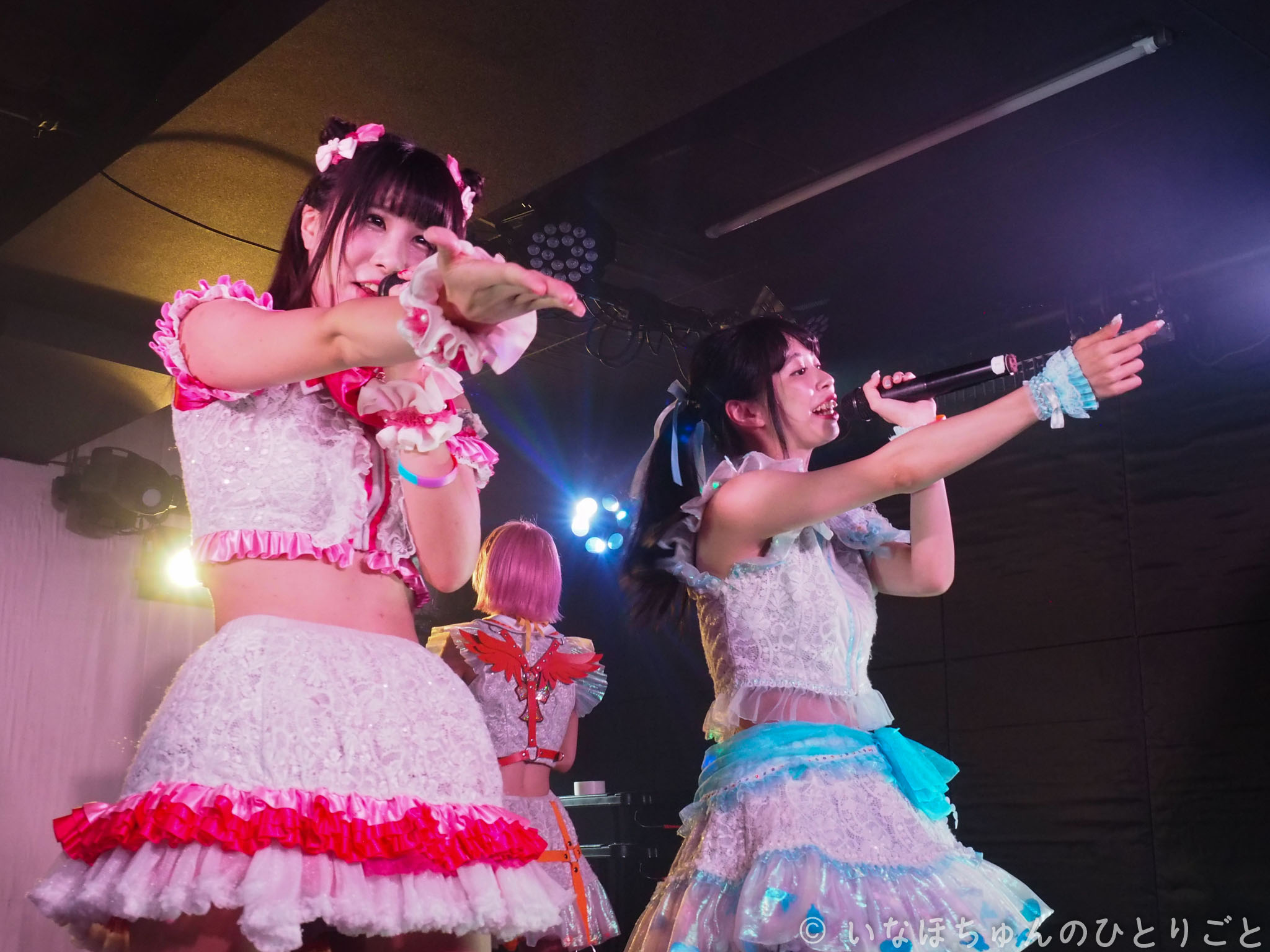 2019.10.14 アキバ大好き！アイドルライブ -Night-＠ZEST トイトニック 54枚目