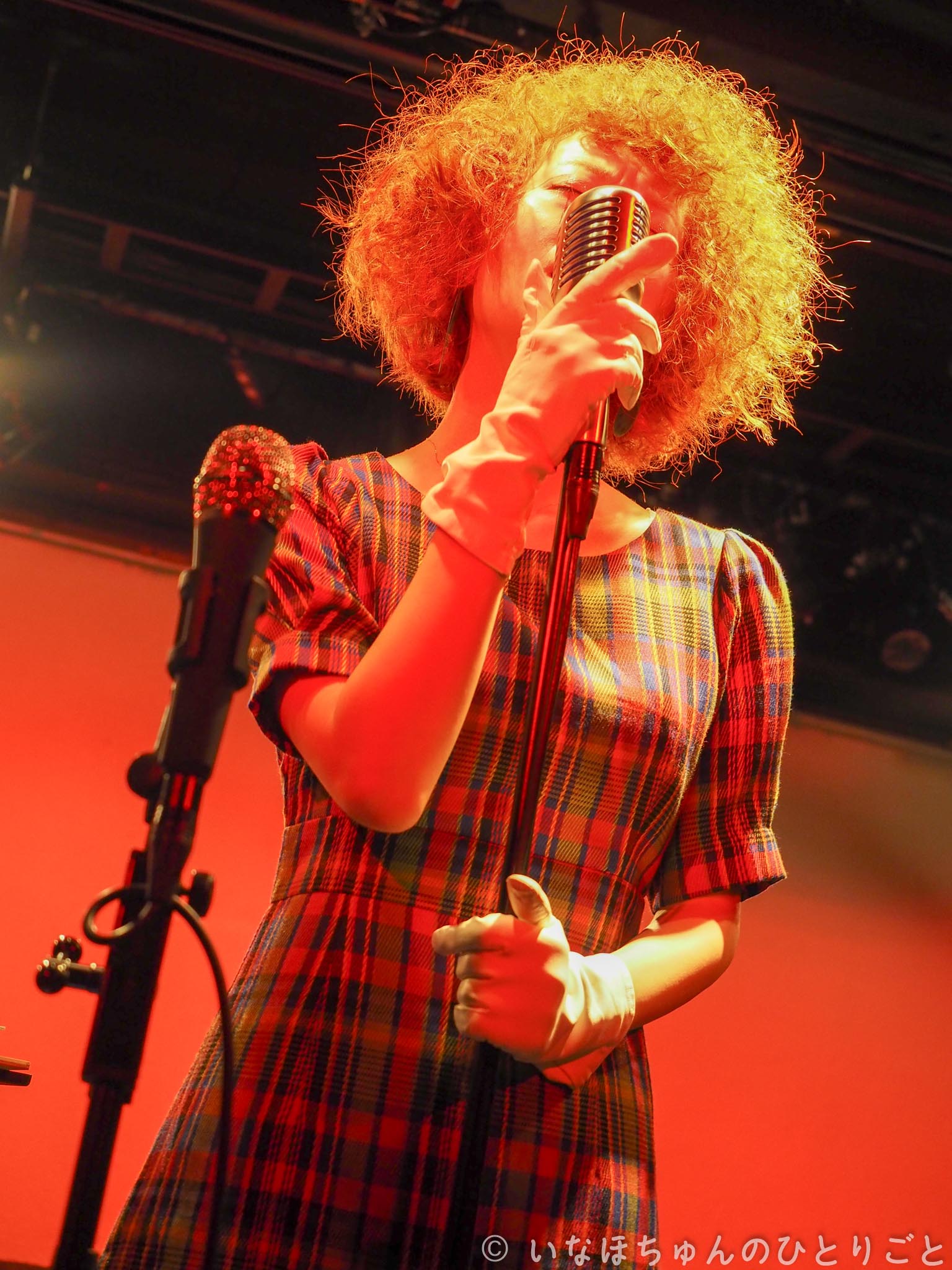 2017.09.23 ゆいちゃんひとみちゃんの新世界★虎の穴 ～初級編～＠SARAVAH 東京 新津由衣 15枚目