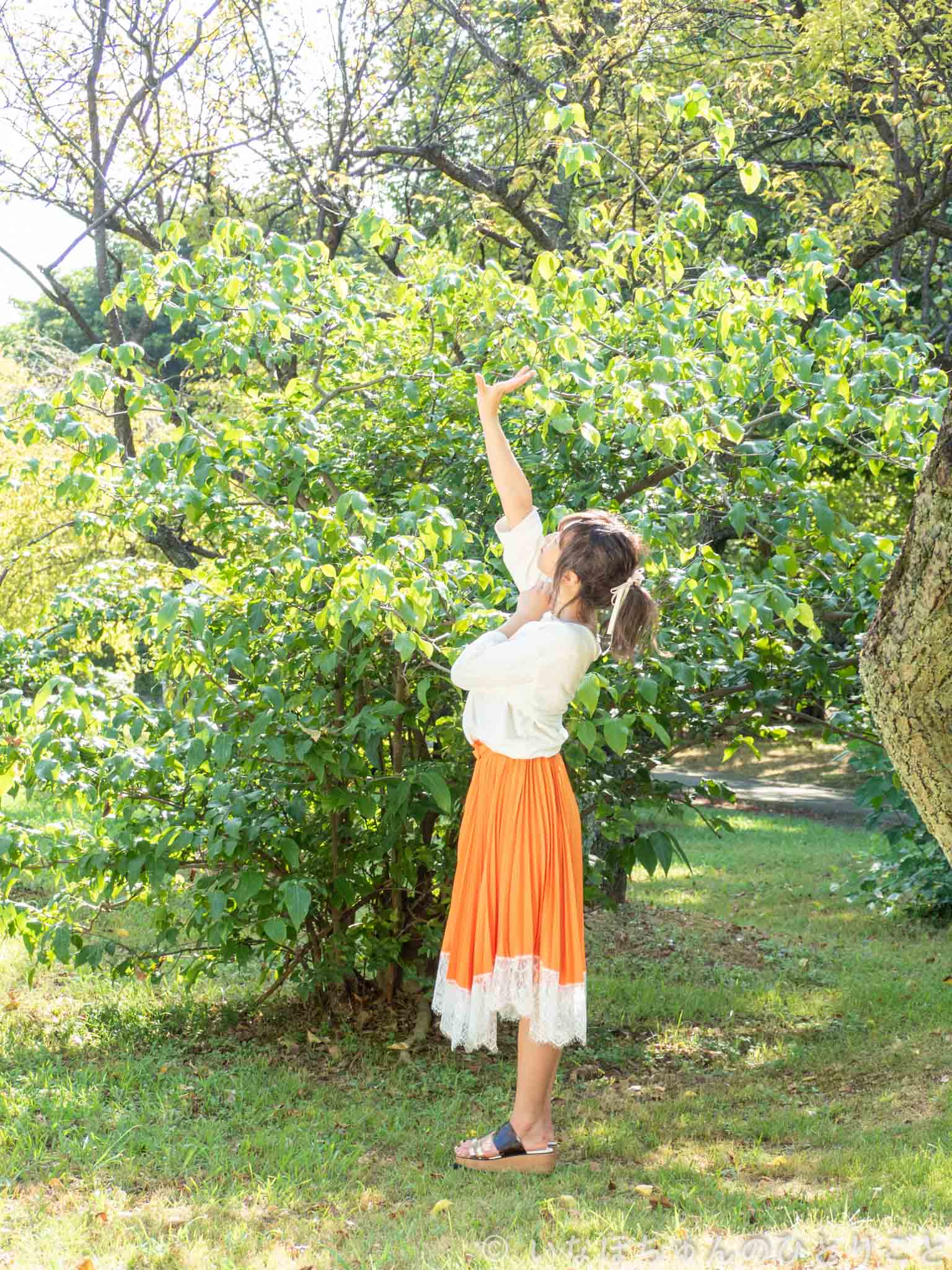 2020.08.29 Fresh!屋外大撮影会＠大宮第二公園 七瀬ちさと　午後 37枚目