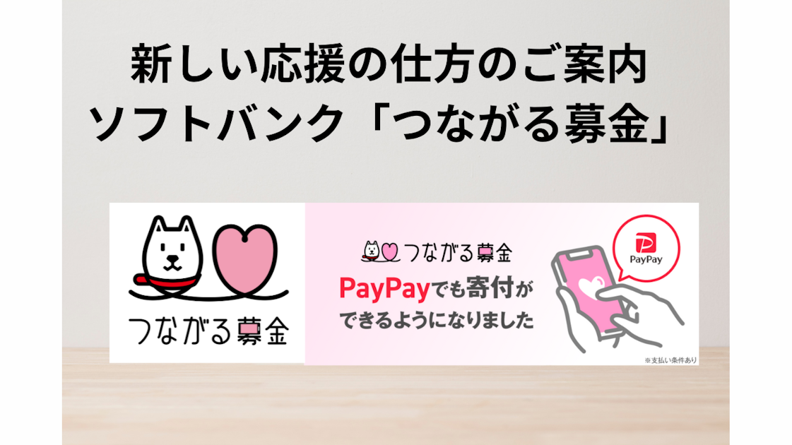お知らせ｜ソフトバンク「つながる募金」寄付先団体として認定されました