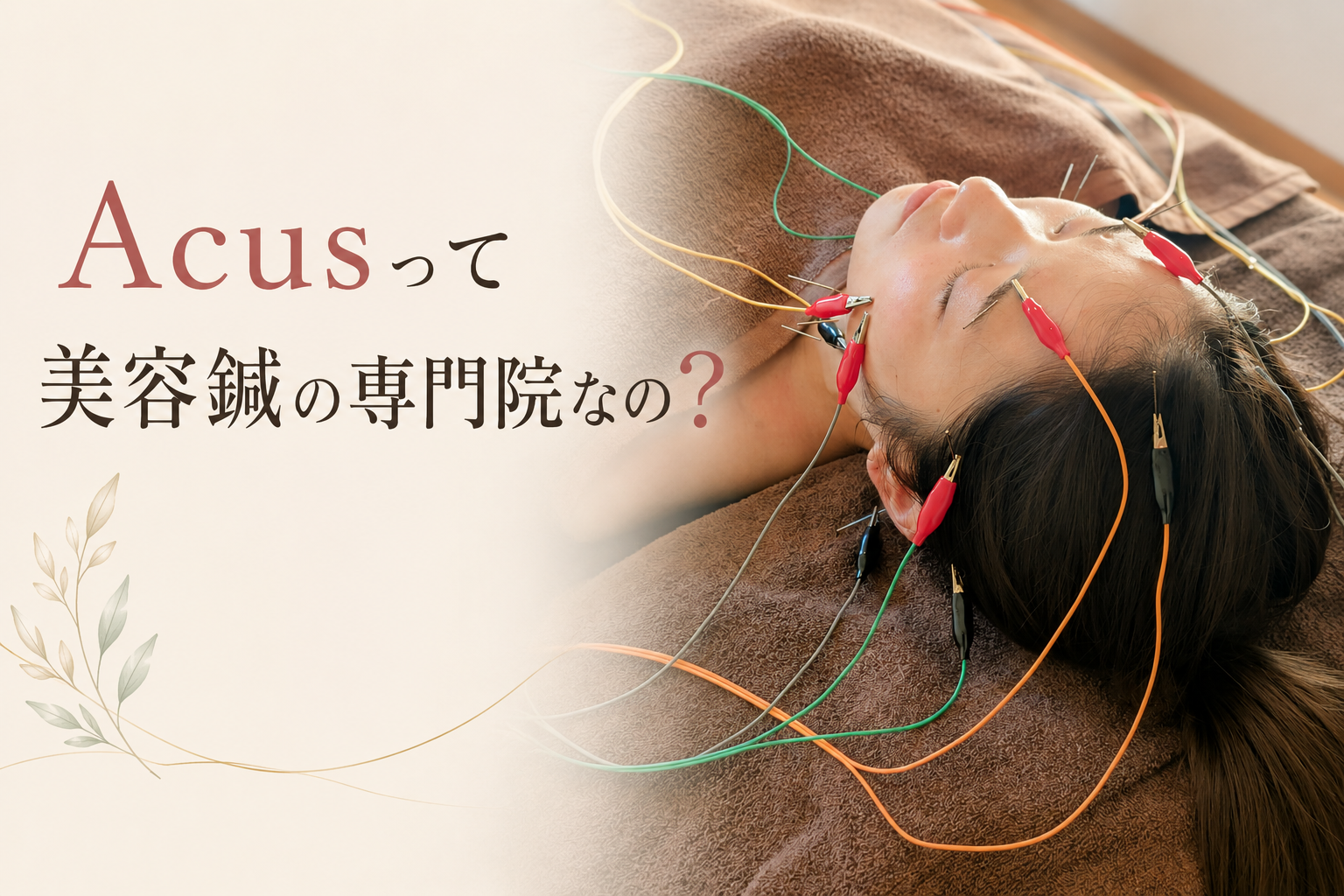 「美容鍼専門の鍼灸院ですか？」