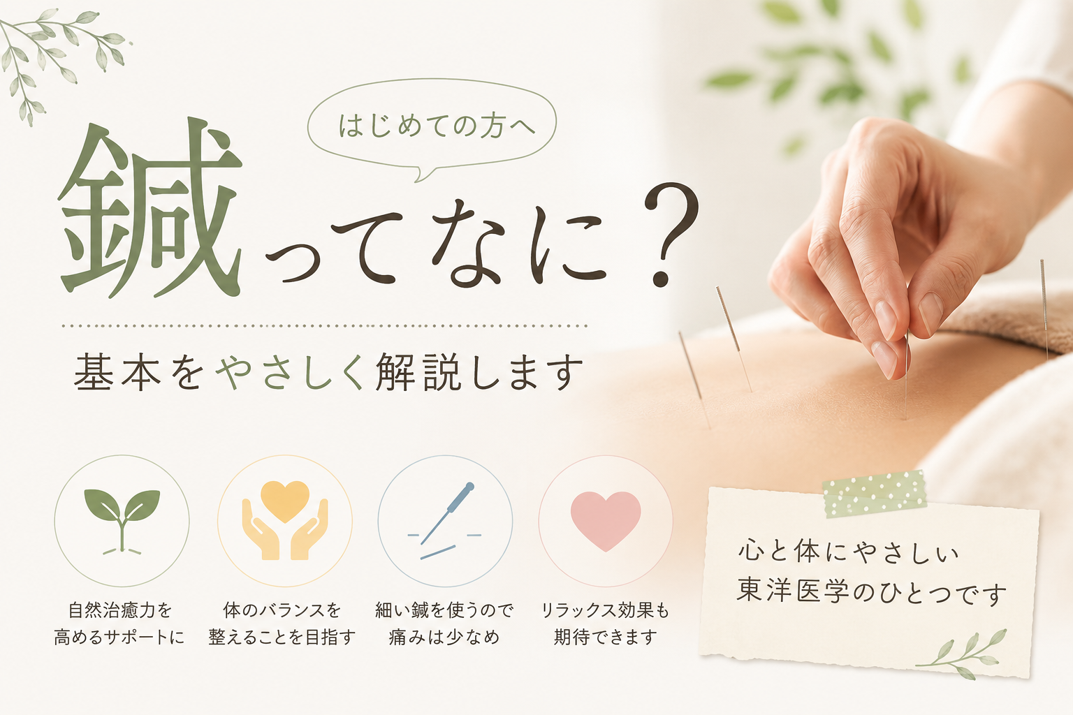 鍼ってなに？基本をやさしく解説します