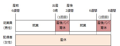 【産前6週間～産後8週間】