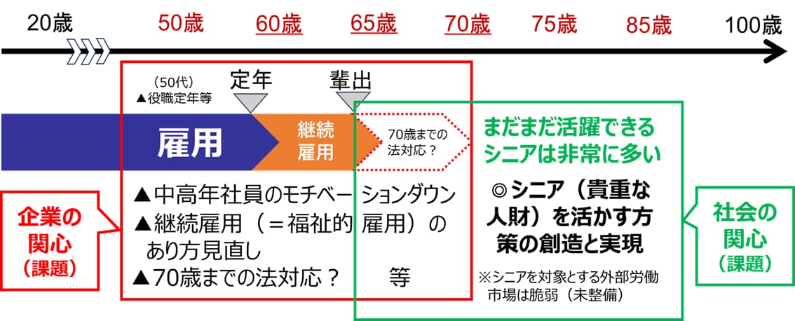 高齢期の就労に関する企業と社会の関心・課題