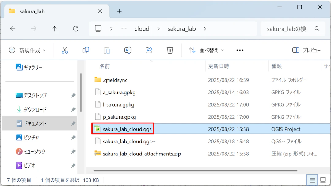 ローカルディレクトリに保存されたQFieldCloudプロジェクトを開く