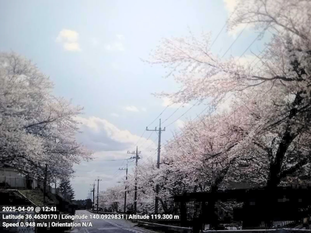 撮影した写真に情報が自動的に追加された