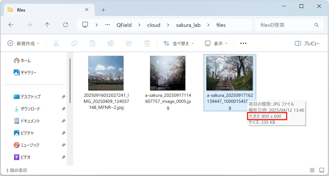 画像が自動的に800ピクセルに圧縮された