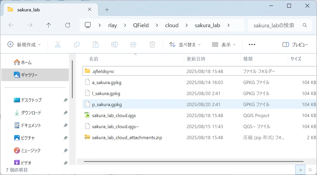 QFieldCloudプロジェクトの例
