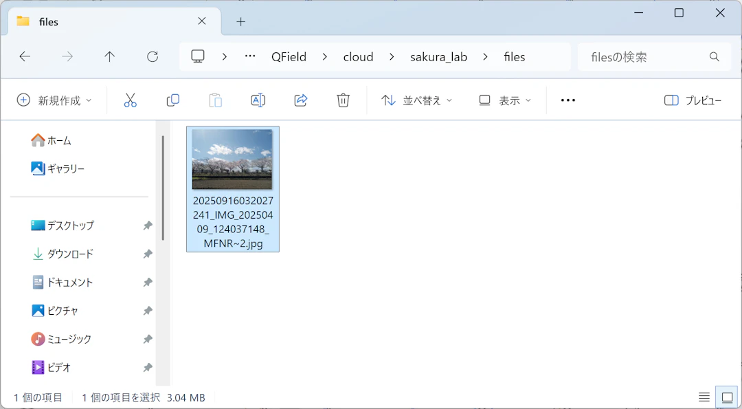 添付したファイルが「files」フォルダに保存されている