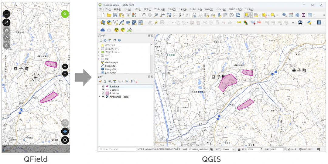 複数ユーザーから追加した地物がQGISプロジェクトに反映されている(地理院タイルを加工して作成)