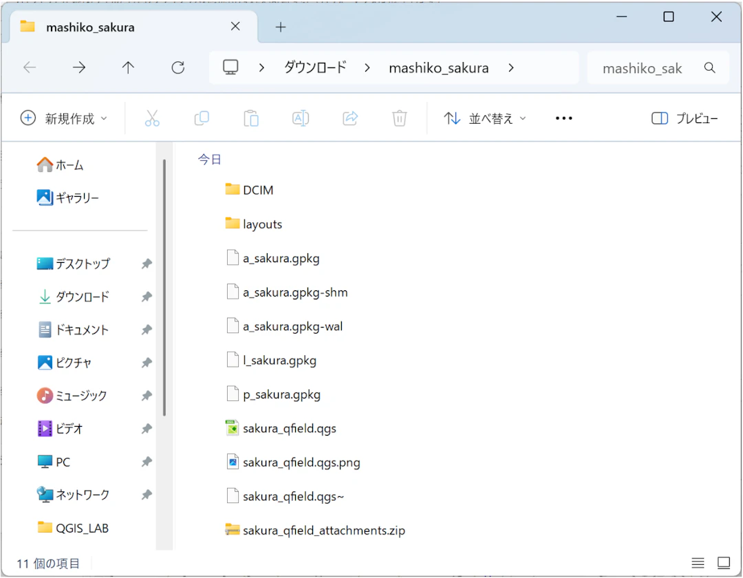 QFieldのプロジェクトがPCに転送された状態
