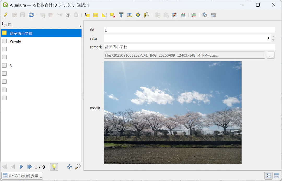 QFieldで登録した画像がQGISの属性フォームで表示された