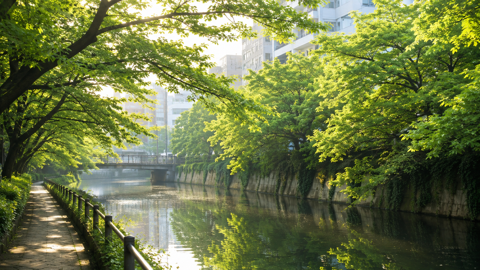 公園まで行かなくても、都心で自然の中を走れる。目黒川ランは中目黒から往復4km