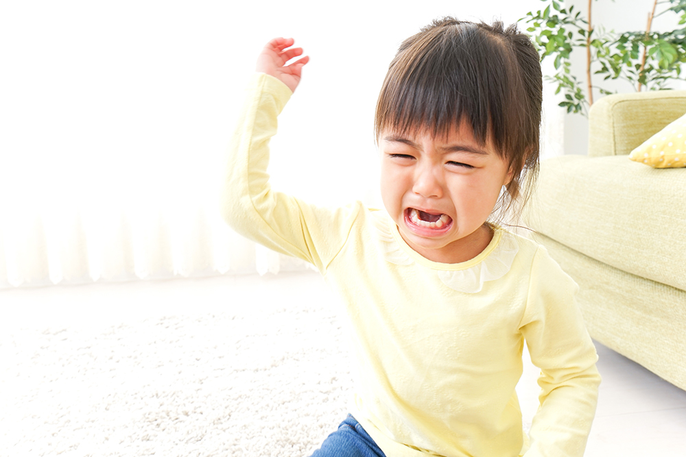 魔の2歳児」いやいや期の具体的な克服方法について | 0歳からの幼児