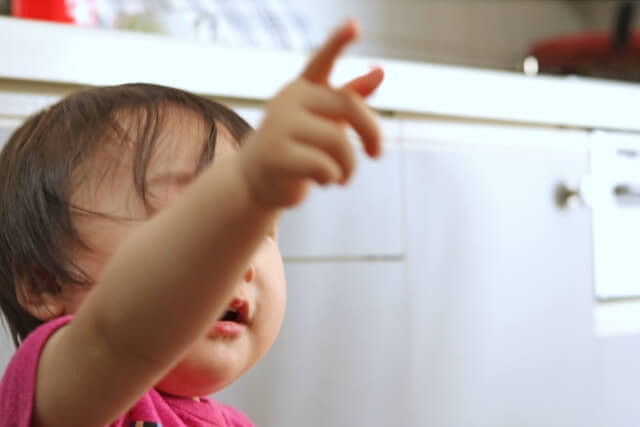 赤ちゃんの指差しサインはいつから?その意味や指さしをしない場合の理由を解説! | 0歳からの幼児教室【ベビーパーク/キッズアカデミー】