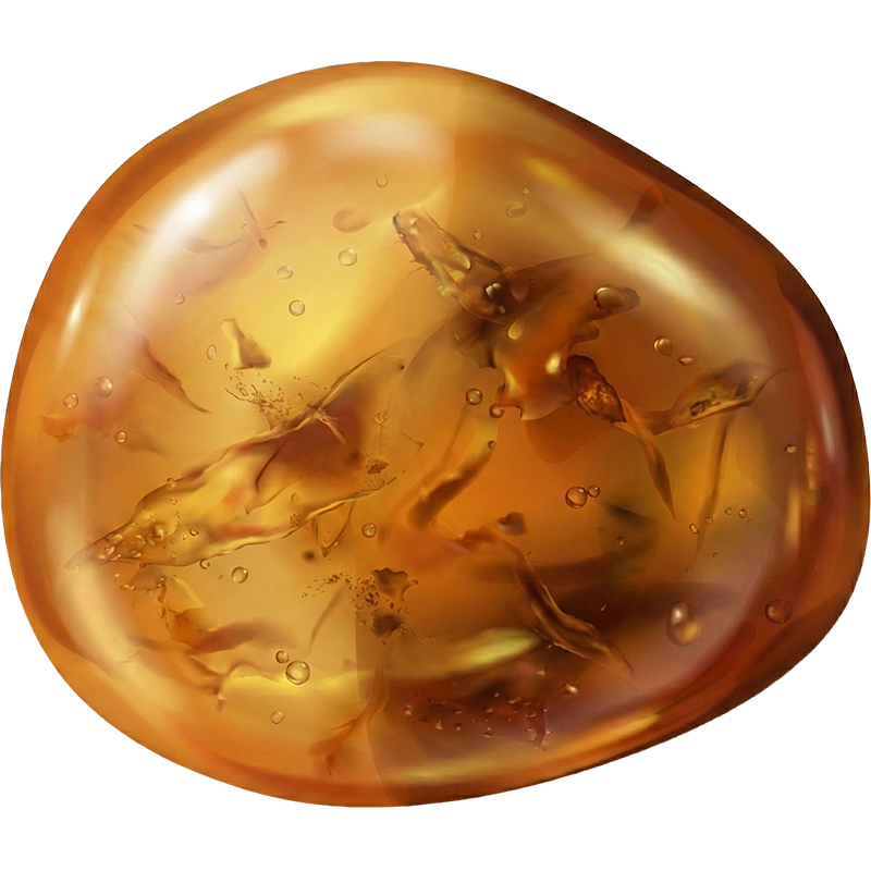 Amber (琥珀（こはく）) の意味・産地・特徴 | Jewelism MARKET