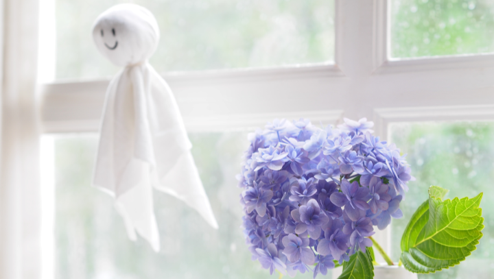 6月といえば？行事・旬の食べ物・見頃の花・服装のポイントまで、6月について徹底紹介