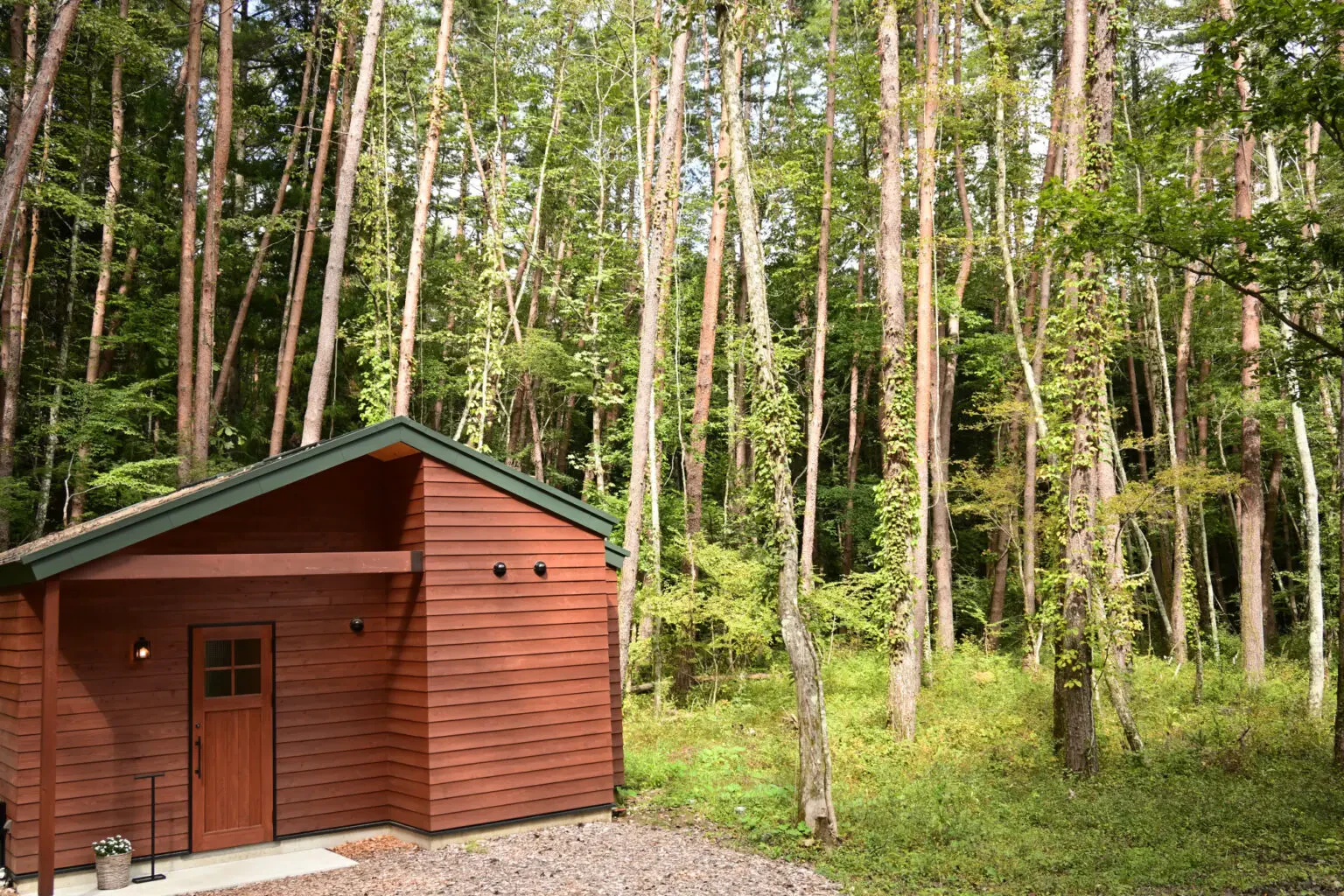 Fuji Sauna | Chill+